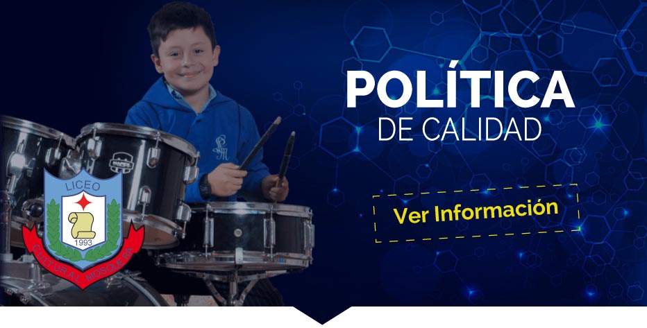 Proyectos 2019